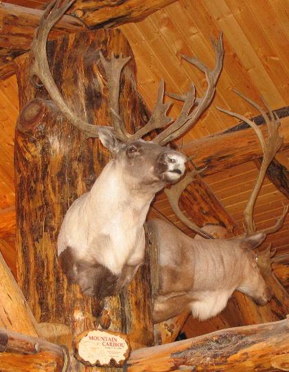 Caribou Mount Hi-Country Trading Post Lincoln, MT
