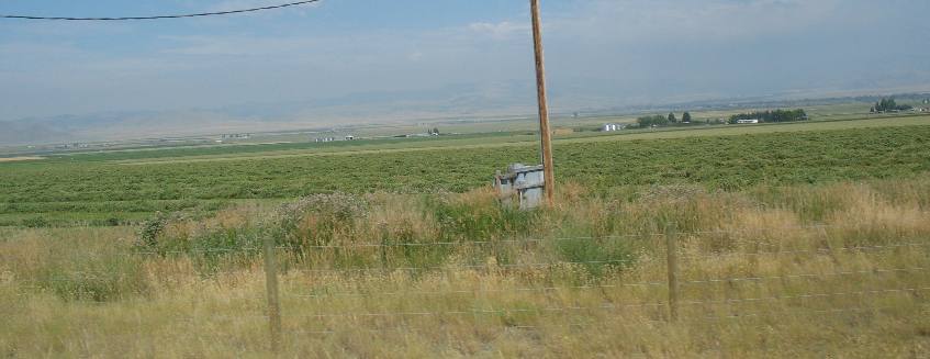 Mowed alfalfa field near Townsend, Montana