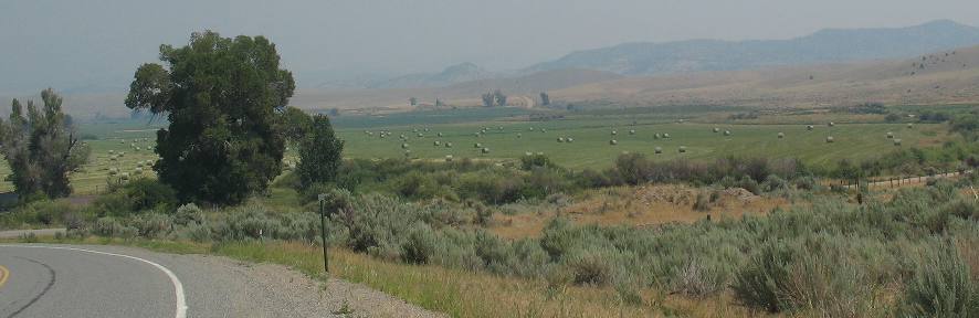 Bales of alfalfa hay in a field between Alder and Ruby Lake