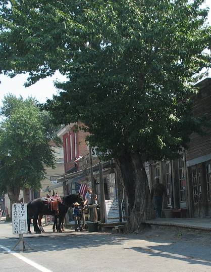 Horses tied to hitching post on Virginia City's Main Street