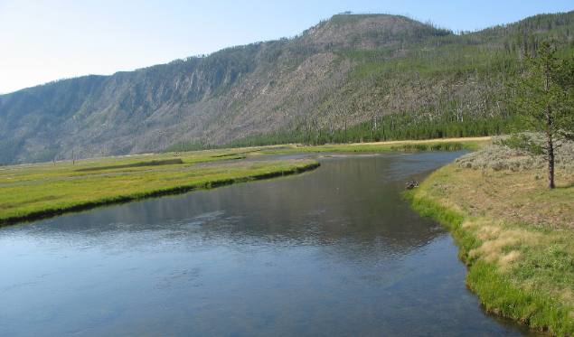 Madison River in Yellowstone National Park