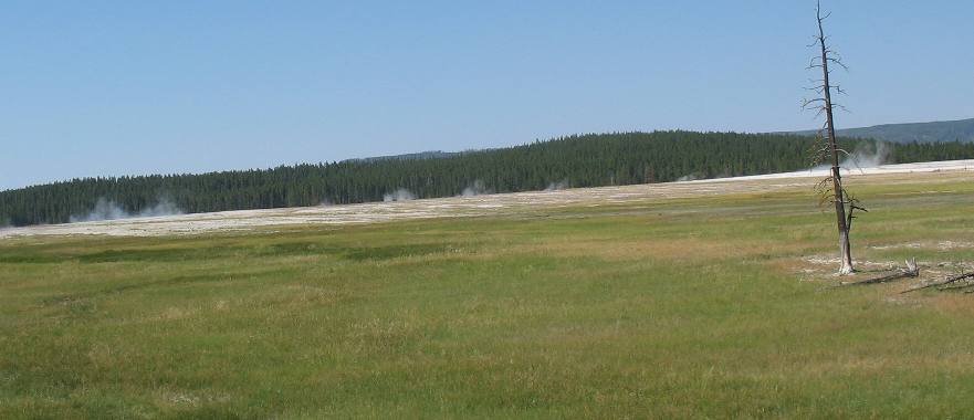 Lower Geyser Basin