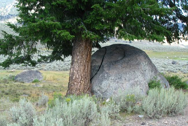 Glacial Erratic