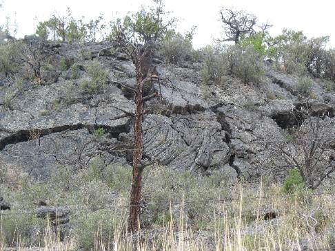 Eastern edge of lava flow in El Malpais National Monument