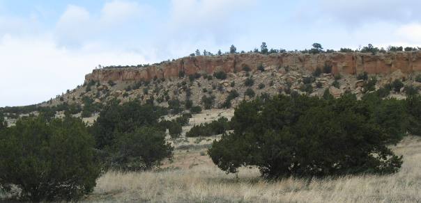 Talus slope beneath sandstone cliff on eastern side of El Malpias National Monument