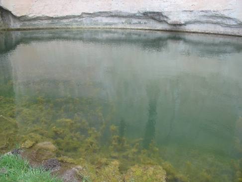 Pool at El Morrow National Monument