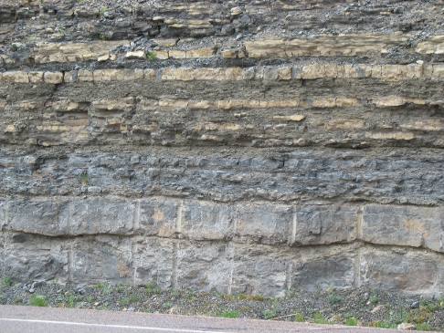 layers of sedimentary rock in road cut