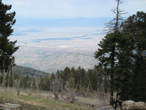 View from road up to Sandia Peak
