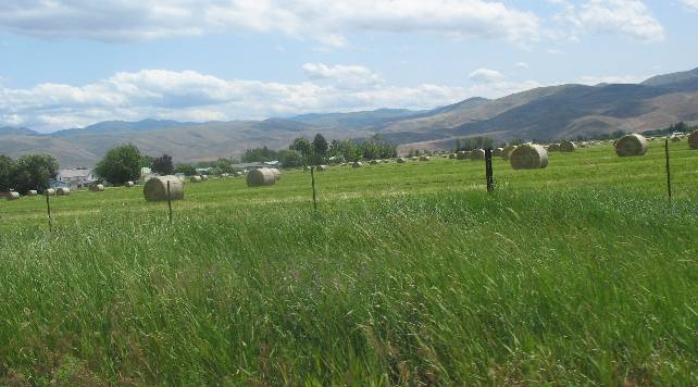 East Oregon agriculture with irrigation