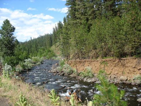 Imnaha River along National Forest Road 39 in Oregon