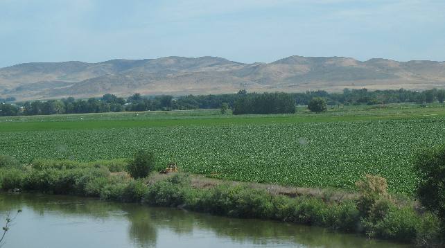 Irrigated fields along the Snake river in Oregon near the Idaho town of Weiser