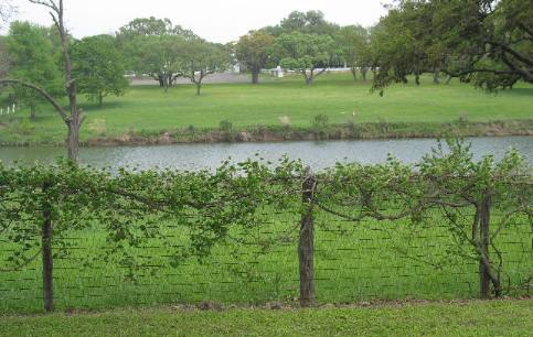 LBJ Ranch along the Perdnales River east of Fredericksburg, Texas
