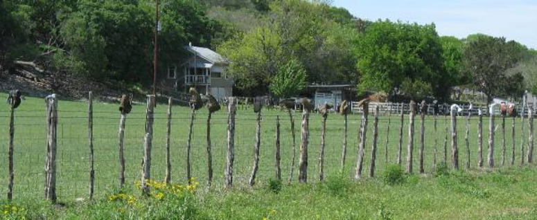 Hill Country fence decorations near Hunt, Texas