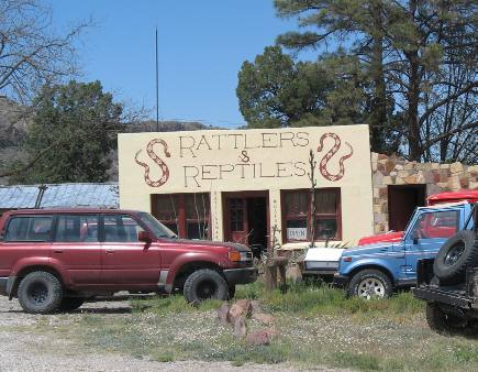 Rattlers & Reptiles Ft Davis, Texas
