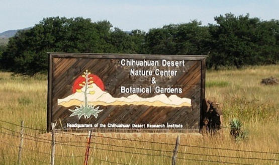 Chihuahuan Desert Nature Center & Botanical Gardens in Ft Davis