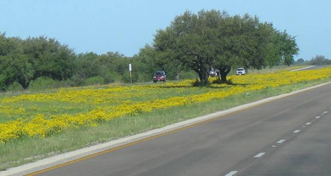 East of Sonora Texas on I-10