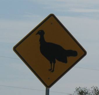 Balmorhea, Texas information sign