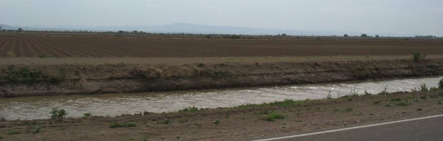 Farmland in Rio Grande Valley east of El Paso near Fabens, Texas