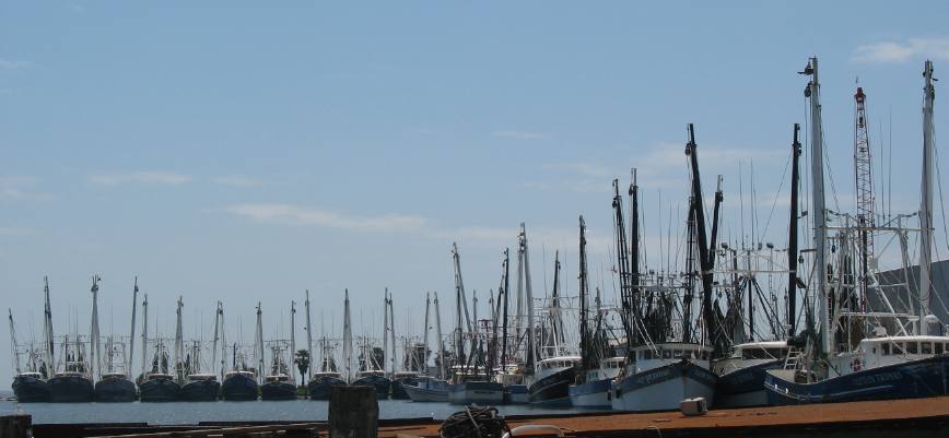 Shrimp fleet in port at Palacios, Texas