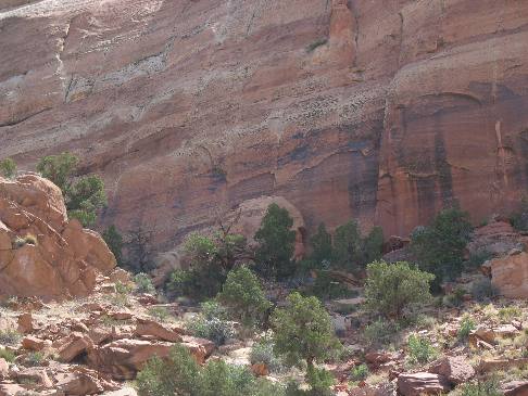 Sandstone cliff on the west side of Comb Ridge 11-miles west of Blanding, UT