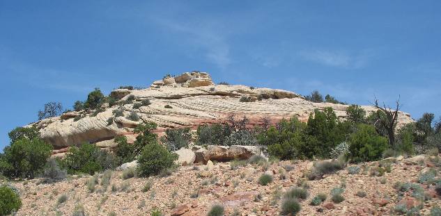 Sandstone of the Cedar Mesa Formation