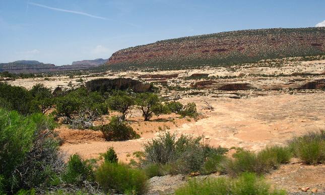 The Natural Bridges are carved out of this pale Ceder Mesa Sandstone