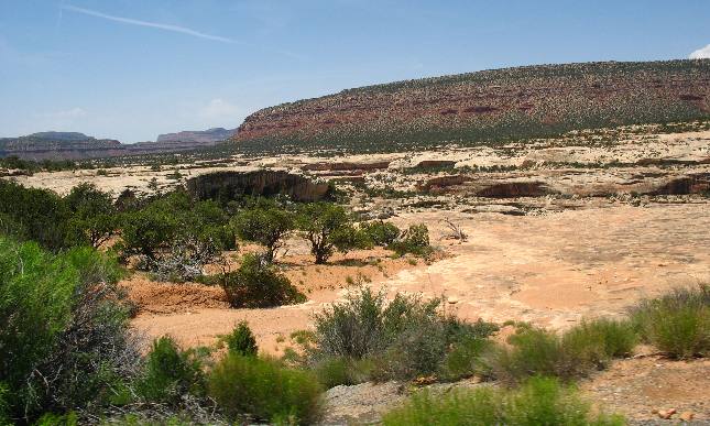 Mesas visible from Natural Bridges National Monument