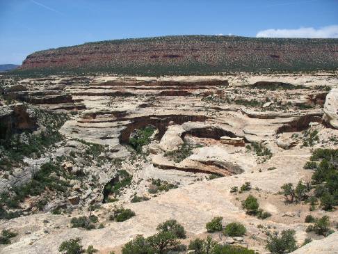 Mesa visible from Natural Bridges National Monument
