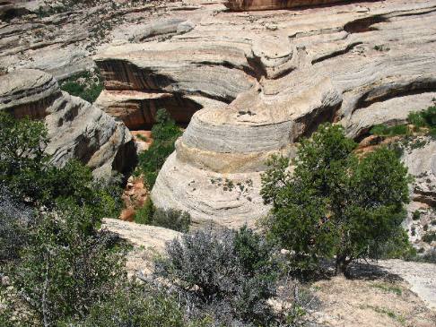Horse Collar formation in Natural Bridges National Monument