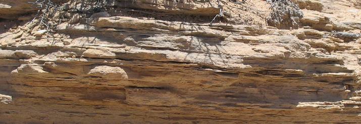 Closeup of Cedar Mesa Sandstone at Natural Bridges National Monument