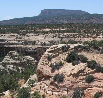 Mesa & Sandstone formations from Natural Bridges National Monument