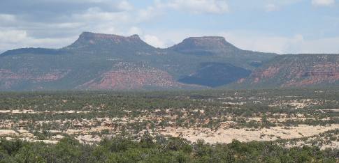 Bears Ears Buttes visible from Natural Bridges National Monument