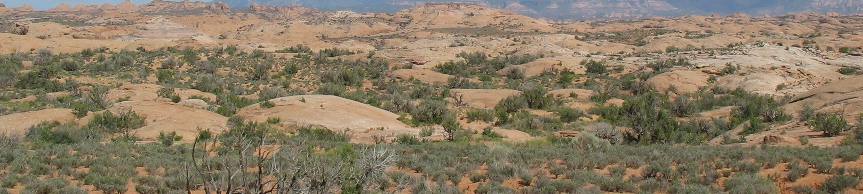 Navajo Sandstone in Arches National Park