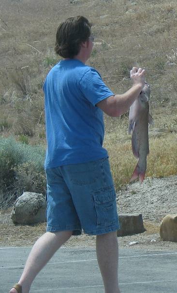 Catfish from Utah Lake near Provo, Utah