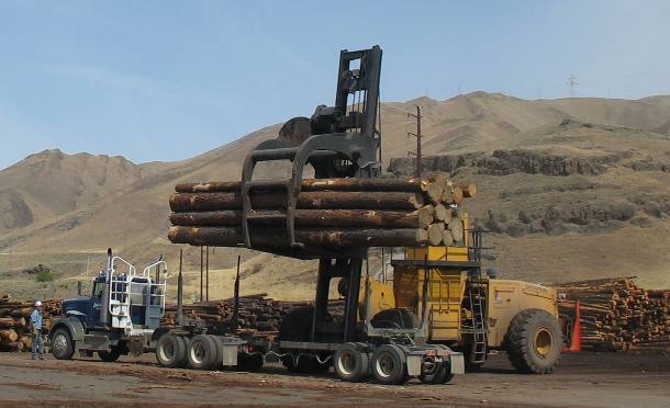 Inbound logs at Forest Products operation Wilma Port Facility Clarkston, Washington