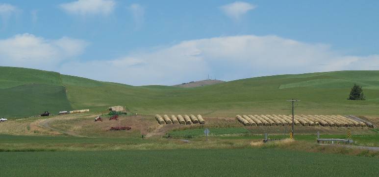 Hay operation in the Palouse Region of Washington