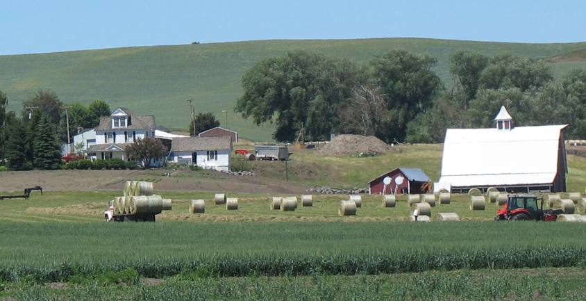 Pastorial scene from Palouse Region of Washington