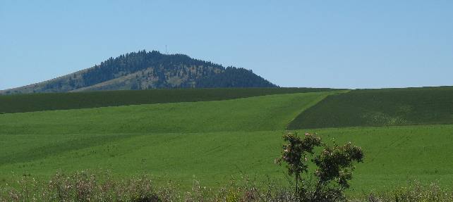 Kamiak Butte in the Palouse Region of Washington