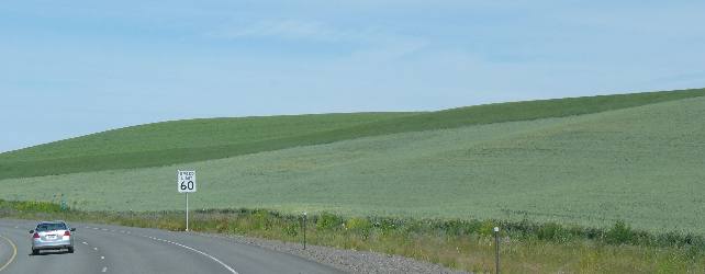 Peas and grain in the Palouse Region of Idaho