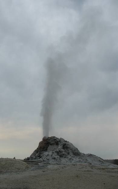 White Dome Geyser erupting
