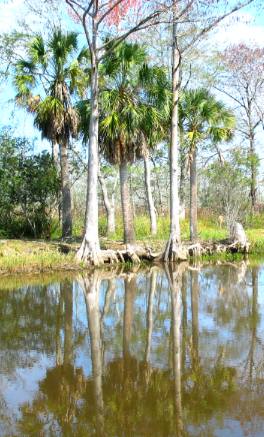 Bay City Lodge Apalachicola