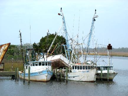 Old Shrimp boats Apalachicola