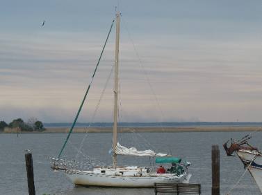 sailboat Apalachicola