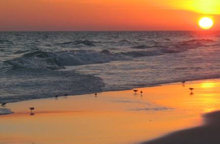 Sandpiper Sunset at Henderson Beach State Park