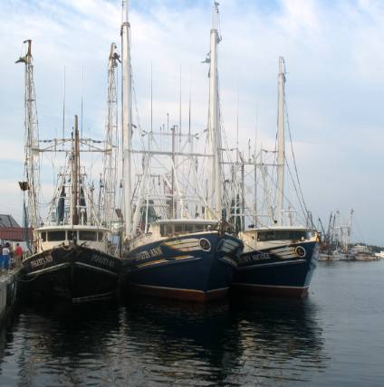 Gulf Shrimpers Stock Island