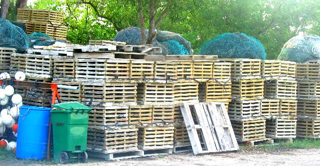  Lobster Traps on Stock Island