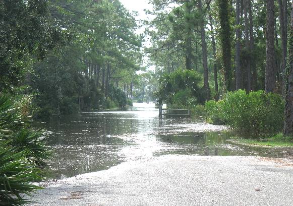 flooded campground road in St Andrews State park