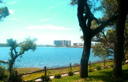 view of Phillips Inlet from Camp Helen State Park