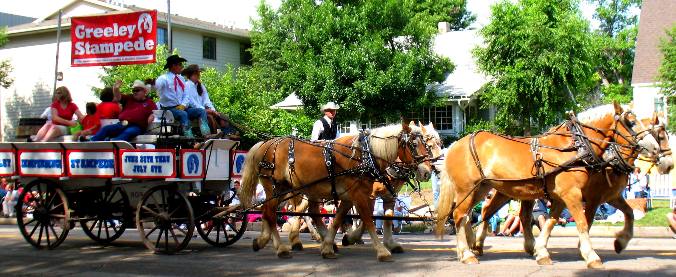 Draft horses pulling wagon in Greeley Stampede 4th of July Parade