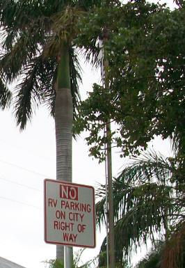 No overnight parking sign and a beautiful Royal Palm tree